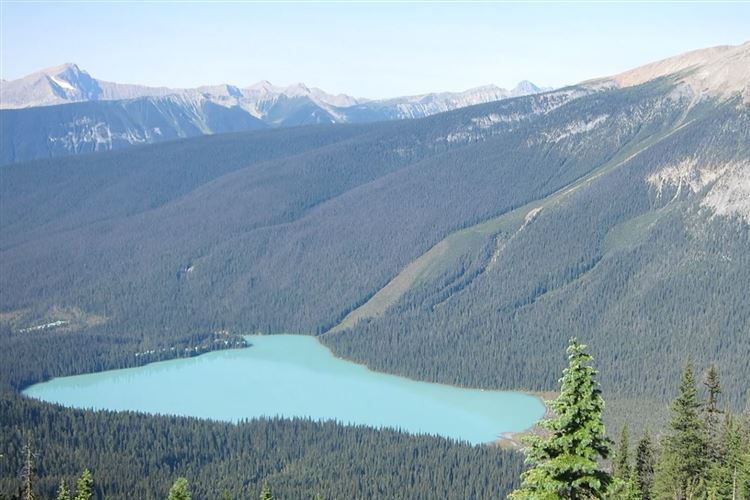 Canada Brit Col: Yoho, Burgess Highline Trail, Emerald Lake, Walkopedia